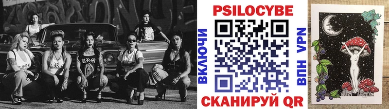 нарко площадка телеграм  закладки  Сегежа  Галлюциногенные грибы Psilocybine cubensis 