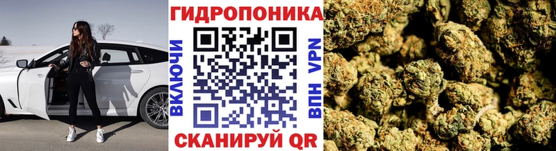 что такое наркотик  Сегежа  Канабис план 